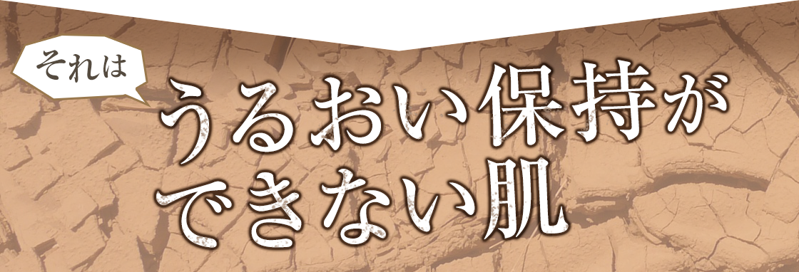 それはうるおい保持ができない肌