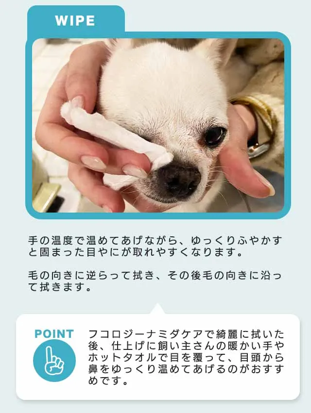 フコロジーナミダケア