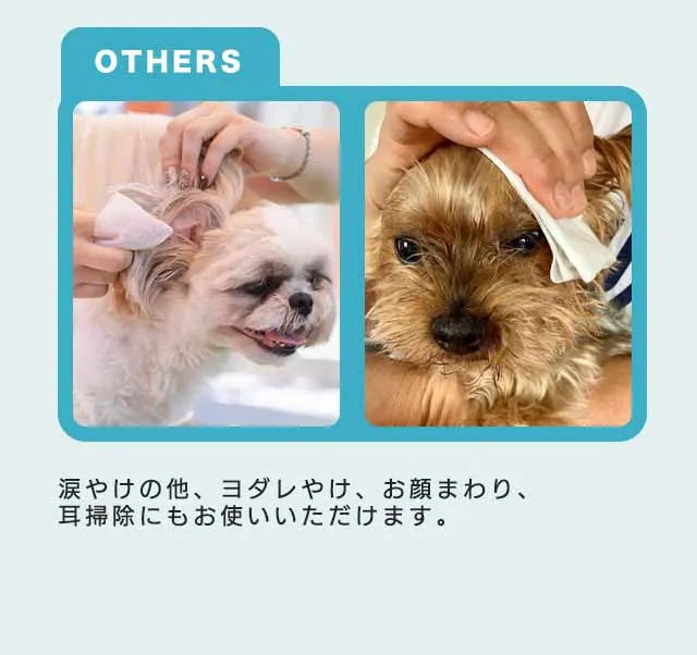 フコロジーナミダケア