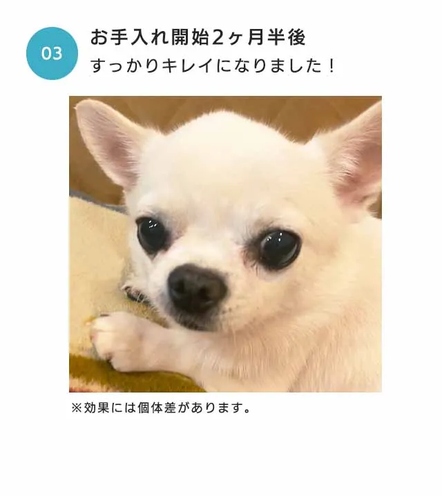 フコロジーナミダケア