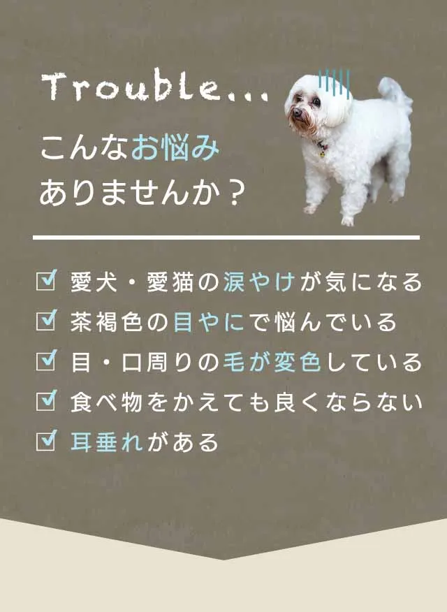 フコロジーナミダケア