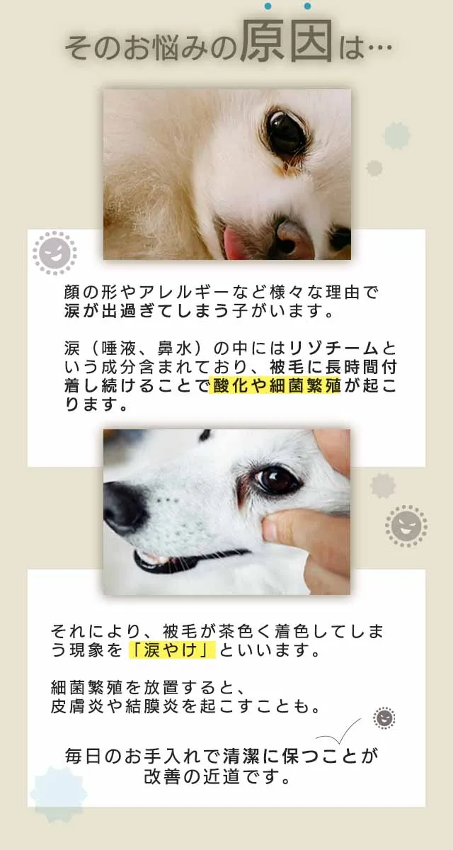 フコロジーナミダケア