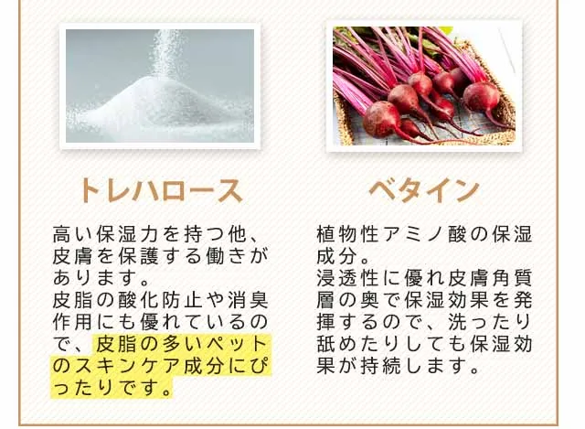 フコロジーナミダケア