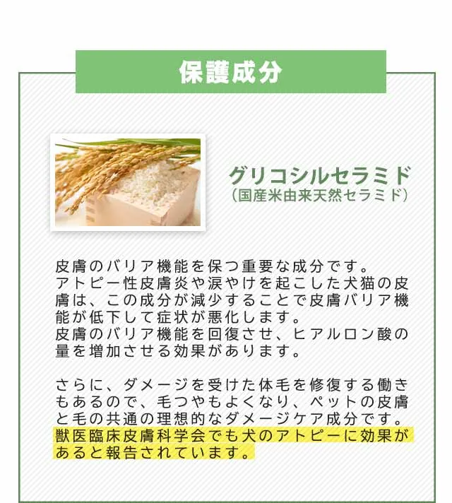 フコロジーナミダケア