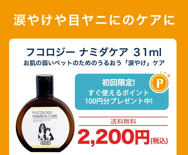 フコロジーナミダケア