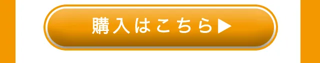 購入はこちら
