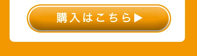 購入はこちら