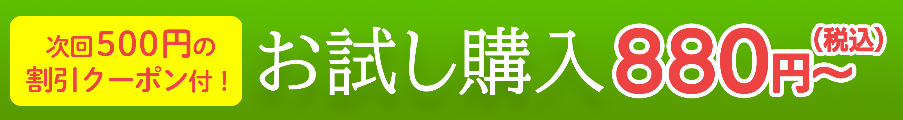 お試し購入880円