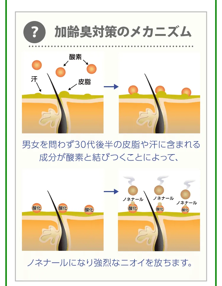 加齢臭のメカニズム