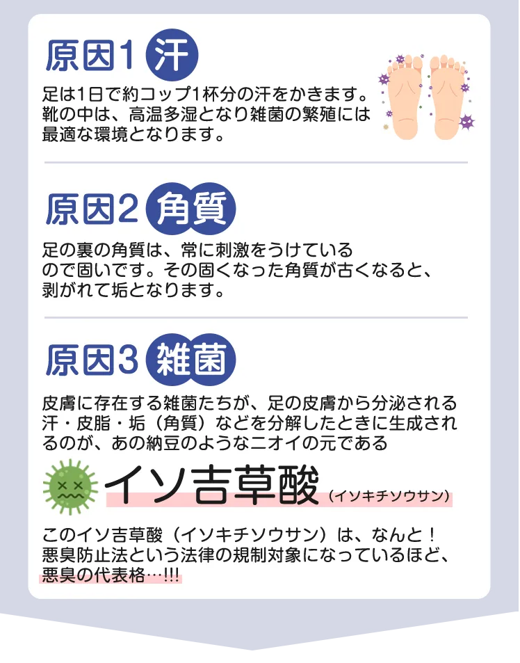 臭いの原因は、汗、角質、雑菌