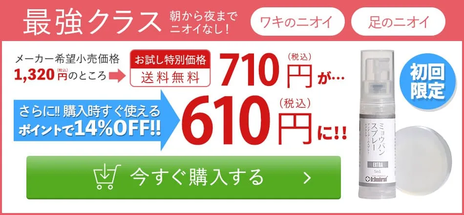 今すぐ購入する