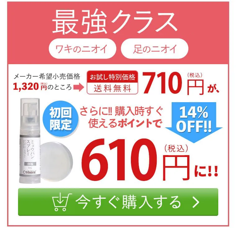 今すぐ購入する