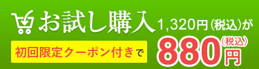 お試し購入880円