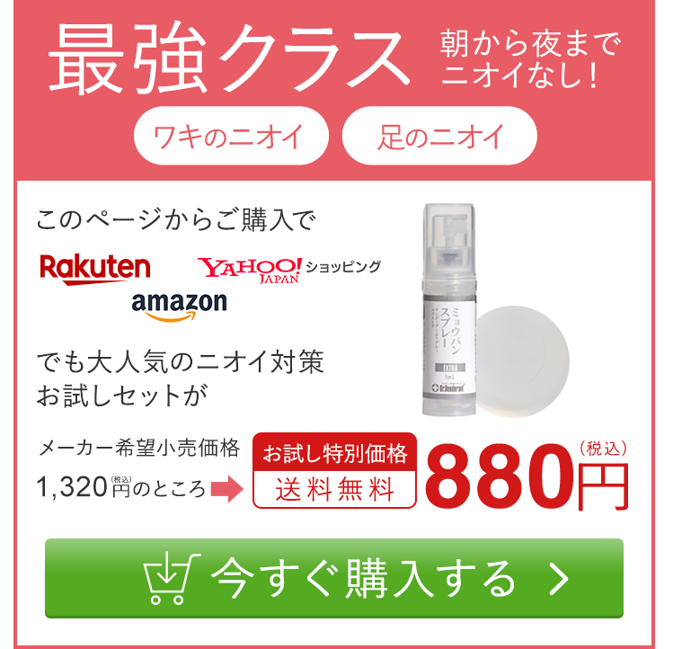 今すぐ購入する