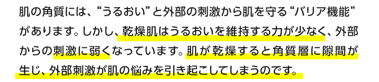 肌の角質には、“うるおい”と外部の刺激から肌を守る“バリア機能”があります。しかし、乾燥肌はうるおいを維持する力が少なく、外部からの刺激に弱くなっています。肌が乾燥すると角質層に隙間が生じ、外部刺激が肌の悩みを引き起こしてしまうのです。